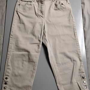 Talbot's Beige/Tan Petite Stretch Waistband Pants